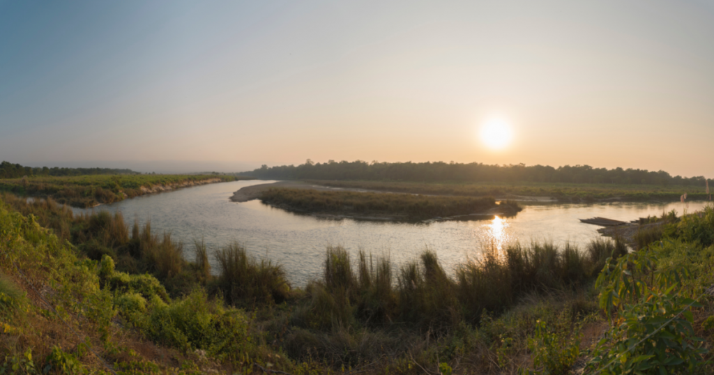 chitwan national park view