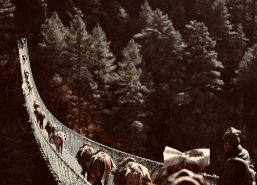 Annapurna Circuit Trekking vs Three Pass Trek Vs Everest Base Camp Trek