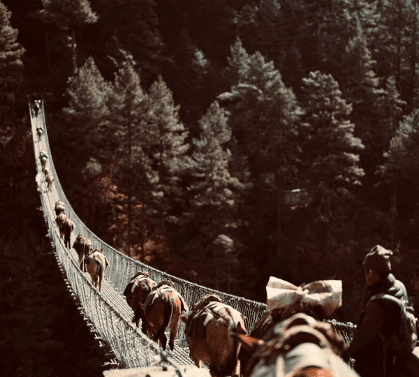 Annapurna Circuit Trekking vs Three Pass Trek Vs Everest Base Camp Trek