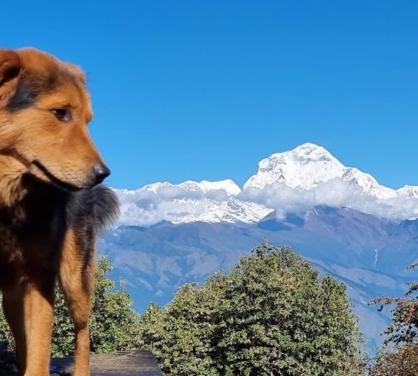 Annapurna Circuit: 5 best side Treks